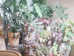 -棕榈岛海鲜自助餐厅(虹桥迎宾馆店)