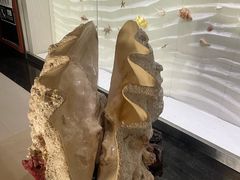 -青岛贝壳博物馆