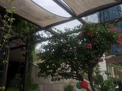 -听香·678茶铺(猛追湾店)