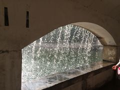 -辛玛王国游乐园