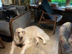 -咖法森林·咖啡  酒吧(天河店)