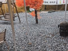 -DGE季风钓虾营地·团建·聚会