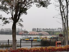 -上海长兴岛郊野公园