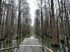 -尚湖风景区