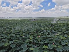-南通濠河风景名胜区