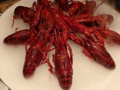 -红盔甲·小龙虾(长寿路店)