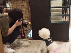 -百好乐宠物友好餐厅(朝外大街店)