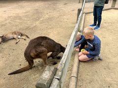 -费瑟代尔野生动物园