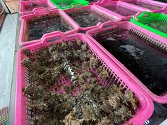 -众味海鲜大排档·活海鲜·潮汕味(南澳店)