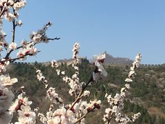 -居庸关永利饭店