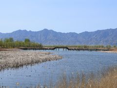 -野鸭湖国家湿地公园
