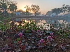 -无有景观餐厅·铜瓢牛肉·下午茶