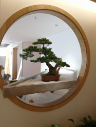 -松和日式美容整骨