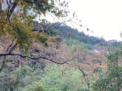 -丹山赤水风景名胜区
