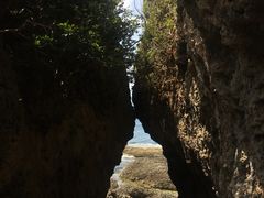 -鹅銮鼻公园