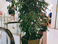 -棒约翰比萨·意面(金桥国际店)