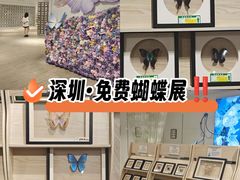 -深圳龙华星河COCO City(民治店)