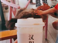 -灯塔咖啡馆BOOK·Coffee Shop
