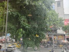 -淼福猪肚鸡·椰子鸡火锅(大沙地店)