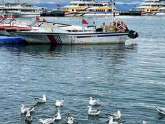 -青海湖国家重点风景名胜区