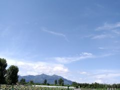 -北京东方普罗旺斯薰衣草庄园