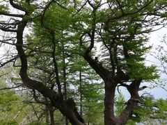 -白草畔自然风景区