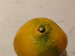 -辣尚瘾·烤鱼·新川菜(牡丹园直营店)