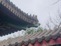 -天津妈祖文化园