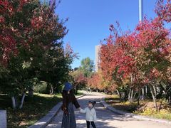 -长春世界雕塑园冰雪艺术天地