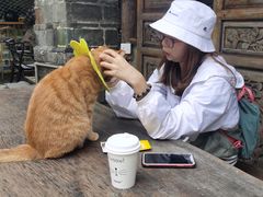 -喵屿·大理花园猫咖