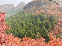 -狼牙山风景区