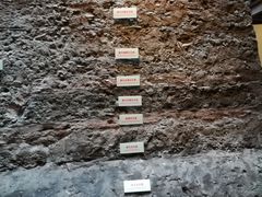 -南越王博物院(王宫展区)