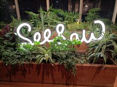 -Seesaw Coffee(朝阳大悦城店)