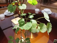 -小户人家(循礼门南国中心店)