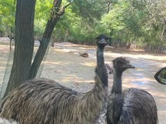 -北京野生动物园