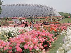 -上海辰山植物园