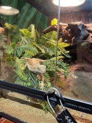 -酷嗒动物文化乐园(cutezoo西溪乐天城店)