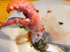 波士顿龙虾-EN SPACE恩空间