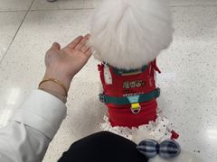 -帕帕拉兹宠物(亚洲旗舰店)