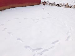 -九鼎铁刹山风景区