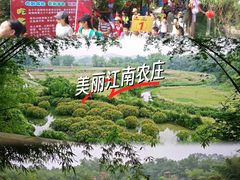 -南宁良凤江国家森林公园