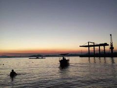 -广东惠东海龟国家级自然保护区