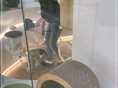 -COLOR PETS 撸猫馆·购猫·猫咖(长风大悦城店)