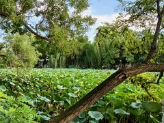 -莲池书院博物馆