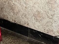-玲玲涮牛肚(土门坊店)