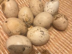 -燕郊烧鸽子(酷车小镇店)