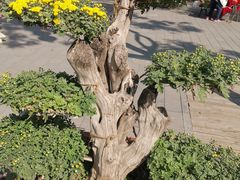 -陶然亭公园南门停车场