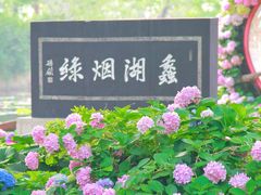 -无锡蠡湖国家湿地公园-蠡园