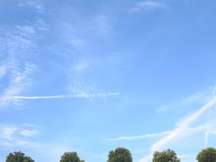 -合肥滨湖国家森林公园