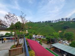 -心无尘茶餐馆(径山村店)